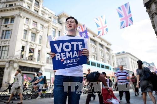 British Prime Minister David Cameron calls for Remain vote